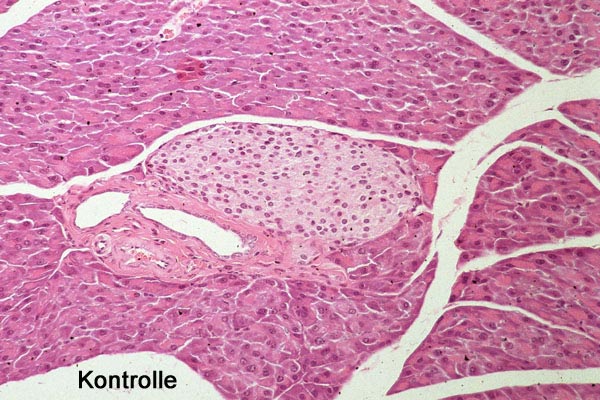 Case # 10, Fig. 1